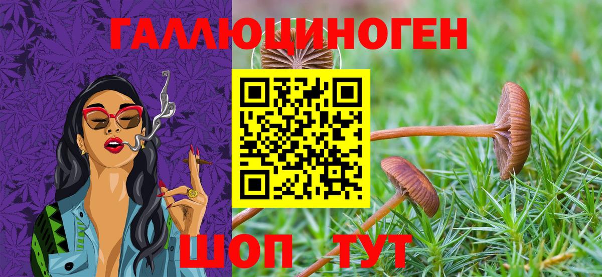 Псилоцибиновые грибы GOLDEN TEACHER  Вход с VPN  Щёлково  Псилоцибиновые грибы MAGIC MUSHROOMS 