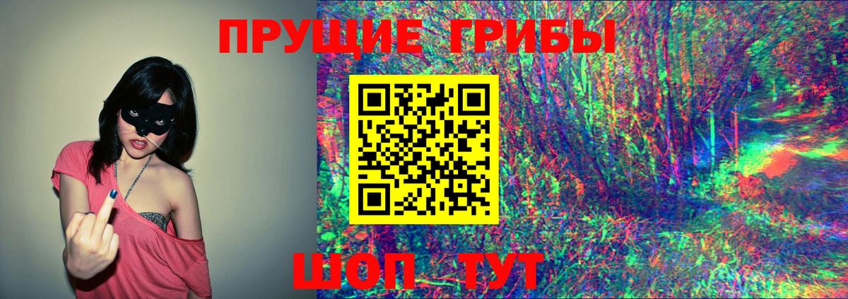 Псилоцибиновые грибы Cubensis Щёлково